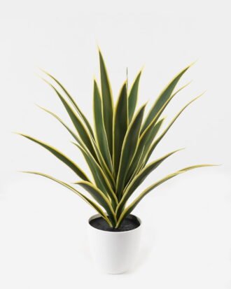 Artificial Tree 50*50*57cm Plant in PP pot/22 lvs GS-59523154 2024Feb YeahFlower is one of Chinese leading OEM manufacturers and exporters , supplying the silk flowers, wholesale artificial trees