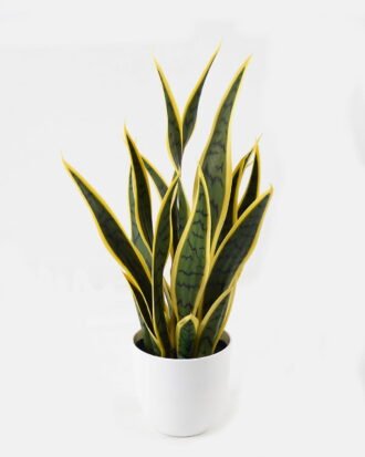 Artificial Tree 32*32*50cm Plant in PP pot/22 lvs GS-59523155 2024Feb YeahFlower is one of Chinese leading OEM manufacturers and exporters , supplying the silk flowers, wholesale artificial trees