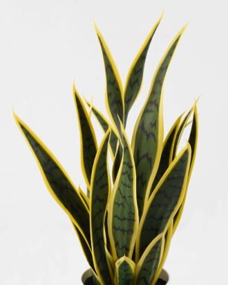 Artificial Tree 32*32*50cm Plant in PP pot/22 lvs GS-59523155 2024Feb YeahFlower is one of Chinese leading OEM manufacturers and exporters , supplying the silk flowers, wholesale artificial trees