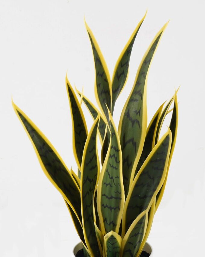 Artificial Tree Plant in PP pot 22 lvs GS-59523155_1 Artificial Tree 32*32*50cm Plant in PP pot/22 lvs GS-59523155 2024Feb YeahFlower is one of Chinese leading OEM manufacturers and exporters , supplying the silk flowers, wholesale artificial trees