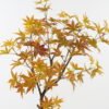 Artificial Tree 70*70*120cm Red Maple in PP pot GS-69423082CONTI 2024Feb YeahFlower is one of Chinese leading OEM manufacturers and exporters , supplying the silk flowers, wholesale artificial trees