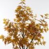 Artificial Tree 130*130*240cm Red Maple in PP pot GS-69423085CONTI-KD Tree&Plant 3,000+ sqm showroom with thousands of artificial flowers, plants & trees ready for global sourcing.