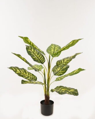 Artificial Tree 85*85*90cm Rohdea japonica *3 in PP pot/12 lvs GS-26623007CONTI 2024Jan YeahFlower is one of Chinese leading OEM manufacturers and exporters , supplying the silk flowers, wholesale artificial trees