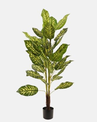 Artificial Tree 90*90*160cm Rohdea japonica *3 in PP pot/34 lvs GS-26623009CONTI 2024Jan YeahFlower is one of Chinese leading OEM manufacturers and exporters , supplying the silk flowers, wholesale artificial trees