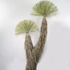 Artificial Tree 135*85*211cm Scarecrow *2 in PP pot/1440  Lvs GS-41923021KD 2024Jan YeahFlower is one of Chinese leading OEM manufacturers and exporters , supplying the silk flowers, wholesale artificial trees
