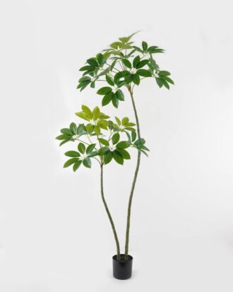Artificial Tree 90*70*200cm Scheffera  tree *2 in PP pot GS-67723011CONTI-KD