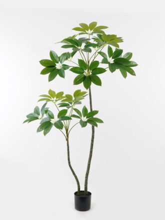 Artificial Tree 90*70*200cm Scheffera  tree *2 in PP pot GS-67723011CONTI-KD Tree&Plant 3,000+ sqm showroom with thousands of artificial flowers, plants & trees ready for global sourcing.