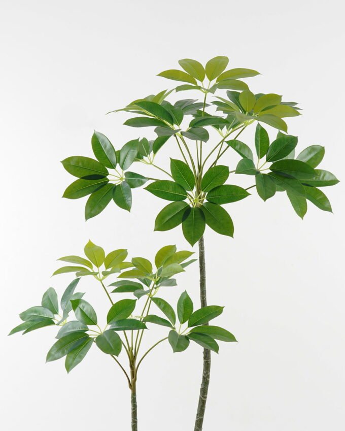 Artificial Tree Scheffera tree 2 in PP pot GS-67723012CONTI-KD_8 Artificial Tree 95*65*160cm Scheffera tree *2 in PP pot GS-67723012CONTI-KD 2024Jan YeahFlower is one of Chinese leading OEM manufacturers and exporters , supplying the silk flowers, wholesale artificial trees