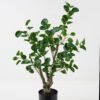 Artificial Tree Tree in pp pot GS-70123049_7 Artificial Tree 52*40*76cm Tree in pp pot GS-70123049 2024Jan YeahFlower is one of Chinese leading OEM manufacturers and exporters , supplying the silk flowers, wholesale artificial trees