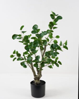 Artificial Tree 52*40*76cm Tree in pp pot GS-70123049 2024Jan YeahFlower is one of Chinese leading OEM manufacturers and exporters , supplying the silk flowers, wholesale artificial trees