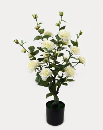 Artificial Tree 35*35*68cm White Rose in PP pot GS-64223010 2024Jan YeahFlower is one of Chinese leading OEM manufacturers and exporters , supplying the silk flowers, wholesale artificial trees Artificial Tree 35*35*68cm White Rose in PP pot GS-64223010 2024Jan YeahFlower is one of Chinese leading OEM manufacturers and exporters , supplying the silk flowers, wholesale artificial trees