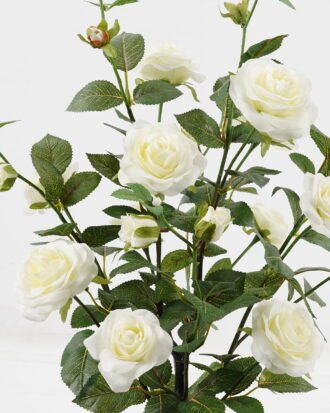 Artificial Tree 35*35*68cm White Rose in PP pot GS-64223010 2024Jan YeahFlower is one of Chinese leading OEM manufacturers and exporters , supplying the silk flowers, wholesale artificial trees Artificial Tree 35*35*68cm White Rose in PP pot GS-64223010 2024Jan YeahFlower is one of Chinese leading OEM manufacturers and exporters , supplying the silk flowers, wholesale artificial trees