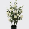 Artificial Tree 45*45*80cm White Rose in PP pot GS-64223013 2024Jan YeahFlower is one of Chinese leading OEM manufacturers and exporters , supplying the silk flowers, wholesale artificial trees