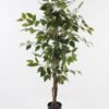 Artificial Tree 73*73*120cm leaf *2 in PP pot GS-26623016CONTI 2024Jan YeahFlower is one of Chinese leading OEM manufacturers and exporters , supplying the silk flowers, wholesale artificial trees