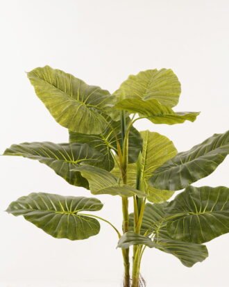 Artificial Tree 70*70*90cm leaf *3 in PP pot/12 lvs GS-26623004CONTI 2024Jan YeahFlower is one of Chinese leading OEM manufacturers and exporters , supplying the silk flowers, wholesale artificial trees