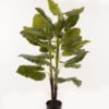 Artificial Tree 80*80*120cm leaf *3 in PP pot/24 lvs GS-26623005CONTI 2024Jan YeahFlower is one of Chinese leading OEM manufacturers and exporters , supplying the silk flowers, wholesale artificial trees