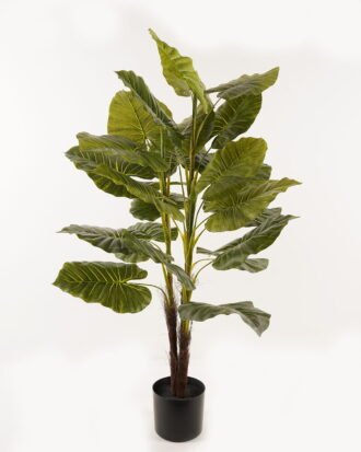 Artificial Tree 80*80*120cm leaf *3 in PP pot/24 lvs GS-26623005CONTI 2024Jan YeahFlower is one of Chinese leading OEM manufacturers and exporters , supplying the silk flowers, wholesale artificial trees