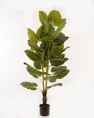 Artificial Tree 75*75*160cm leaf *3 in PP pot/34 lvs GS-26623006CONTI 2024Jan YeahFlower is one of Chinese leading OEM manufacturers and exporters , supplying the silk flowers, wholesale artificial trees