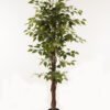 Artificial Tree 90*90*160cm leaf *3 in PP pot GS-26623017CONTI 2024Jan YeahFlower is one of Chinese leading OEM manufacturers and exporters , supplying the silk flowers, wholesale artificial trees