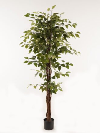 Artificial Tree 73*73*120cm leaf *2 in PP pot GS-26623016CONTI Tree&Plant 3,000+ sqm showroom with thousands of artificial flowers, plants & trees ready for global sourcing.
