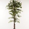 Artificial Tree 95*95*180cm leaf *3 in PP pot GS-26623018CONTI 2024Jan YeahFlower is one of Chinese leading OEM manufacturers and exporters , supplying the silk flowers, wholesale artificial trees