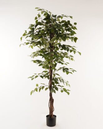 Artificial Tree 95*95*180cm leaf *3 in PP pot GS-26623018CONTI 2024Jan YeahFlower is one of Chinese leading OEM manufacturers and exporters , supplying the silk flowers, wholesale artificial trees Artificial Tree 95*95*180cm leaf *3 in PP pot GS-26623018CONTI 2024Jan YeahFlower is one of Chinese leading OEM manufacturers and exporters , supplying the silk flowers, wholesale artificial trees