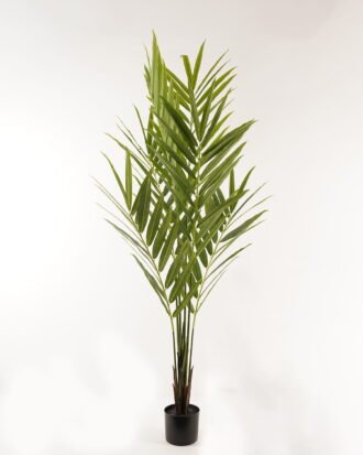 Artificial Tree 90*90*190cm leaf in PP pot/6 lvs GS-26623014CONTI 2024Jan YeahFlower is one of Chinese leading OEM manufacturers and exporters , supplying the silk flowers, wholesale artificial trees Artificial Tree 90*90*190cm leaf in PP pot/6 lvs GS-26623014CONTI 2024Jan YeahFlower is one of Chinese leading OEM manufacturers and exporters , supplying the silk flowers, wholesale artificial trees