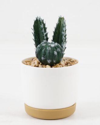 Artificial succulent 9*9*15cm Cactus *3 in ceramic pot GS-41323009 2024Jan YeahFlower is one of Chinese leading OEM manufacturers and exporters , supplying the silk flowers, wholesale artificial trees Artificial succulent 9*9*15cm Cactus *3 in ceramic pot GS-41323009 2024Jan YeahFlower is one of Chinese leading OEM manufacturers and exporters , supplying the silk flowers, wholesale artificial trees
