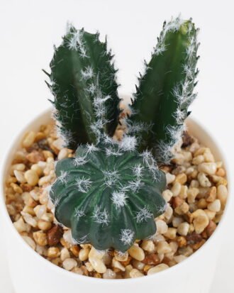 Artificial succulent 9*9*15cm Cactus *3 in ceramic pot GS-41323009 2024Jan YeahFlower is one of Chinese leading OEM manufacturers and exporters , supplying the silk flowers, wholesale artificial trees Artificial succulent 9*9*15cm Cactus *3 in ceramic pot GS-41323009 2024Jan YeahFlower is one of Chinese leading OEM manufacturers and exporters , supplying the silk flowers, wholesale artificial trees