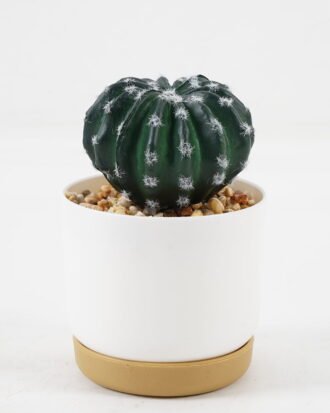 Artificial succulent 9*9*14cm Cactus in ceramic pot GS-41323010 2024Jan YeahFlower is one of Chinese leading OEM manufacturers and exporters , supplying the silk flowers, wholesale artificial trees Artificial succulent 9*9*14cm Cactus in ceramic pot GS-41323010 2024Jan YeahFlower is one of Chinese leading OEM manufacturers and exporters , supplying the silk flowers, wholesale artificial trees