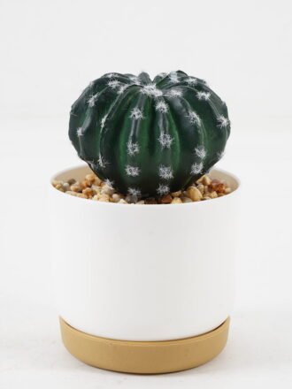 Artificial succulent 9*9*15cm Cactus *3 in ceramic pot GS-41323009 Succulent 3,000+ sqm showroom with thousands of artificial flowers, plants & trees ready for global sourcing.
