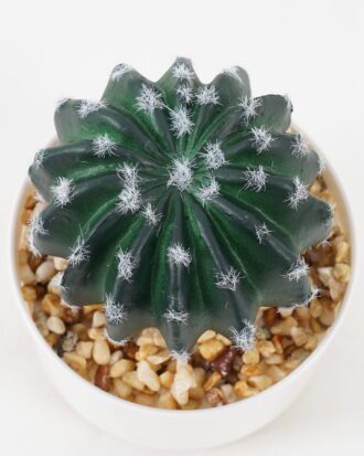Artificial succulent 9*9*14cm Cactus in ceramic pot GS-41323010 2024Jan YeahFlower is one of Chinese leading OEM manufacturers and exporters , supplying the silk flowers, wholesale artificial trees Artificial succulent 9*9*14cm Cactus in ceramic pot GS-41323010 2024Jan YeahFlower is one of Chinese leading OEM manufacturers and exporters , supplying the silk flowers, wholesale artificial trees