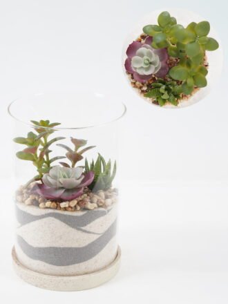 Artificial succulent H:125MM Desert plant in glass pot GS-3030526 Succulent 3,000+ sqm showroom with thousands of artificial flowers, plants & trees ready for global sourcing.