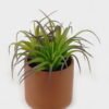 Artificial succulent 10*10*14cm potted leaf in Laterite pot GS-51723056 2024Feb YeahFlower is one of Chinese leading OEM manufacturers and exporters , supplying the silk flowers, wholesale artificial trees