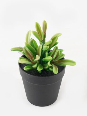 Artificial Plant 22*22*75cm Lysimachia christinae Hance single stem GS-05523074 2024Feb YeahFlower is one of Chinese leading OEM manufacturers and exporters , supplying the silk flowers, wholesale artificial trees