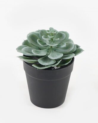 Artificial succulent 10*10*17cm potted leaf in PP pot GS-51723043 2024Feb YeahFlower is one of Chinese leading OEM manufacturers and exporters , supplying the silk flowers, wholesale artificial trees