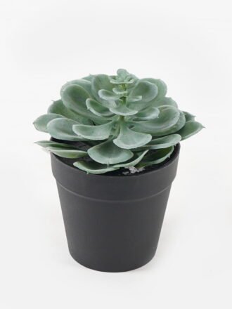 Artificial succulent 8*8*18.5cm potted leaf in PP pot GS-51723044 Succulent 3,000+ sqm showroom with thousands of artificial flowers, plants & trees ready for global sourcing.