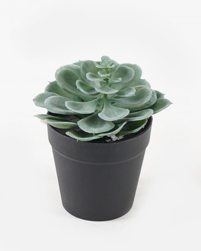 Artificial succulent 10*10*17cm potted leaf in PP pot GS-51723043 2024Feb YeahFlower is one of Chinese leading OEM manufacturers and exporters , supplying the silk flowers, wholesale artificial trees