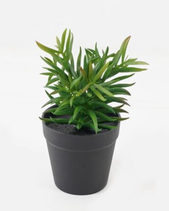 Artificial succulent 8*8*18.5cm potted leaf in PP pot GS-51723044 2024Feb YeahFlower is one of Chinese leading OEM manufacturers and exporters , supplying the silk flowers, wholesale artificial trees