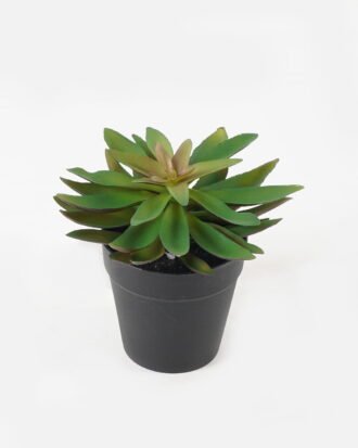 Artificial succulent 14*14*16cm potted leaf in PP pot GS-51723045 2024Feb YeahFlower is one of Chinese leading OEM manufacturers and exporters , supplying the silk flowers, wholesale artificial trees