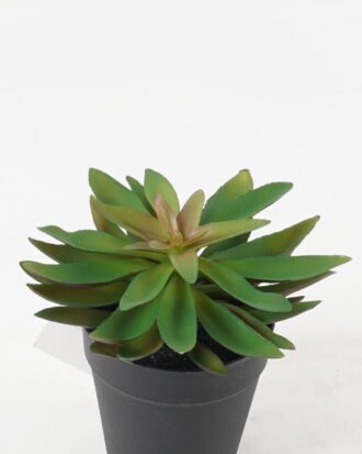 Artificial succulent 14*14*16cm potted leaf in PP pot GS-51723045 2024Feb YeahFlower is one of Chinese leading OEM manufacturers and exporters , supplying the silk flowers, wholesale artificial trees