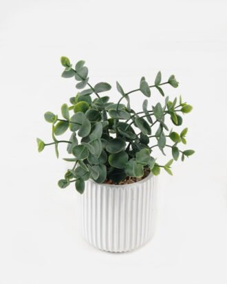Artificial succulent 14*14*17cm potted leaf in cemnet pot GS-51723047 2024Feb YeahFlower is one of Chinese leading OEM manufacturers and exporters , supplying the silk flowers, wholesale artificial trees