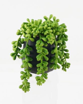 Artificial succulent 9*9*13cm potted leaf in cemnet pot GS-51723048 2024Feb YeahFlower is one of Chinese leading OEM manufacturers and exporters , supplying the silk flowers, wholesale artificial trees