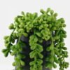 Artificial succulent 9*9*13cm potted leaf in cemnet pot GS-51723048 2024Feb YeahFlower is one of Chinese leading OEM manufacturers and exporters , supplying the silk flowers, wholesale artificial trees