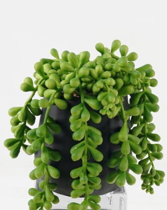 Artificial succulent 9*9*13cm potted leaf in cemnet pot GS-51723048 2024Feb YeahFlower is one of Chinese leading OEM manufacturers and exporters , supplying the silk flowers, wholesale artificial trees