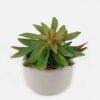 Artificial succulent 12*12*12cm potted leaf in cemnet pot GS-51723050 2024Feb YeahFlower is one of Chinese leading OEM manufacturers and exporters , supplying the silk flowers, wholesale artificial trees