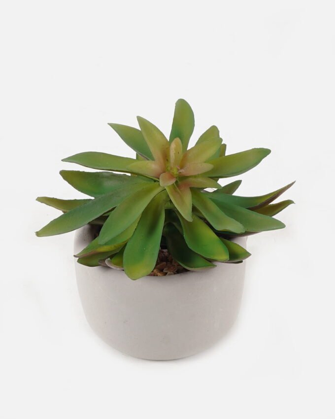 Artificial succulent 12*12*12cm potted leaf in cemnet pot GS-51723050 2024Feb YeahFlower is one of Chinese leading OEM manufacturers and exporters , supplying the silk flowers, wholesale artificial trees