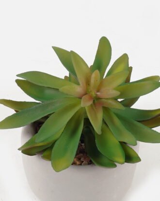 Artificial succulent 12*12*12cm potted leaf in cemnet pot GS-51723050 2024Feb YeahFlower is one of Chinese leading OEM manufacturers and exporters , supplying the silk flowers, wholesale artificial trees