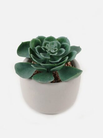 Artificial succulent 12*10*15cm potted leaf in cemnet pot GS-51723052 Succulent 3,000+ sqm showroom with thousands of artificial flowers, plants & trees ready for global sourcing.