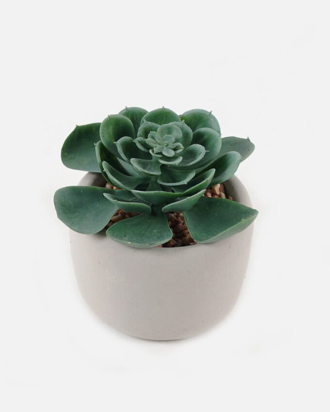 Artificial succulent 10*10*11cm potted leaf in cemnet pot GS-51723051 2024Feb YeahFlower is one of Chinese leading OEM manufacturers and exporters , supplying the silk flowers, wholesale artificial trees